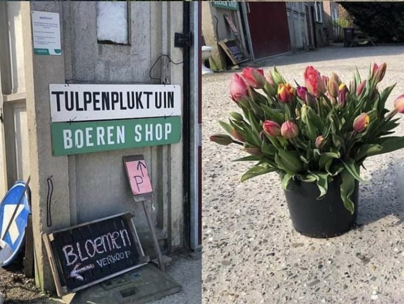 De 'Boerenshop'