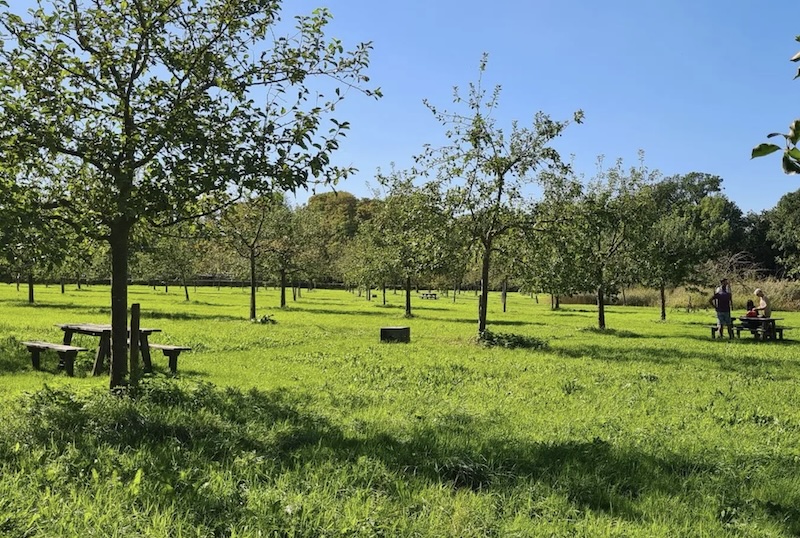 Boomgaard de boswachter