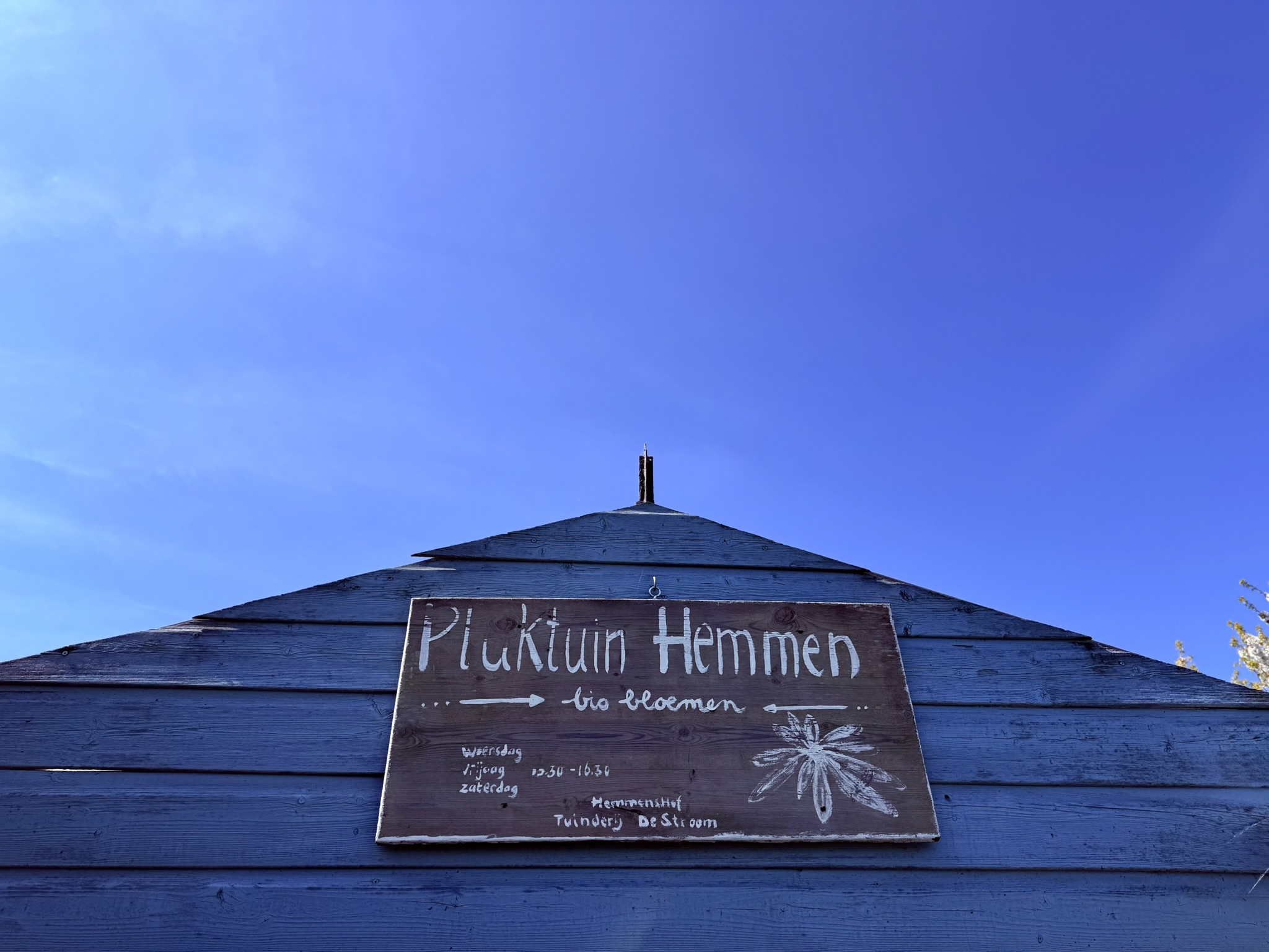 Pluktuin Hemmen