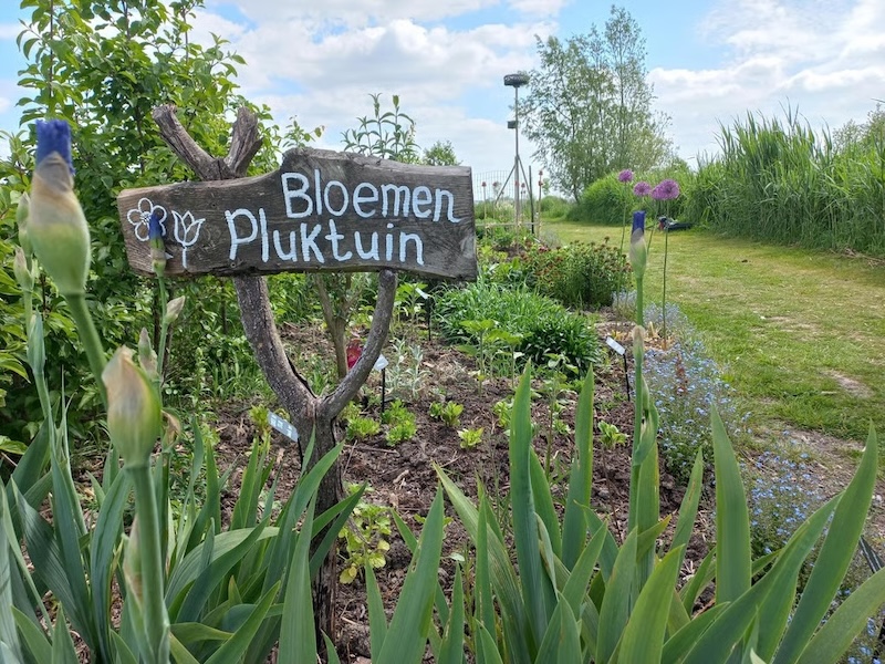 Hortus Populus