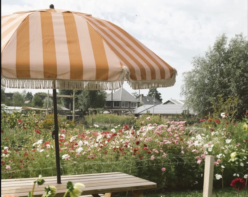 Pluktuin Wilde Weide